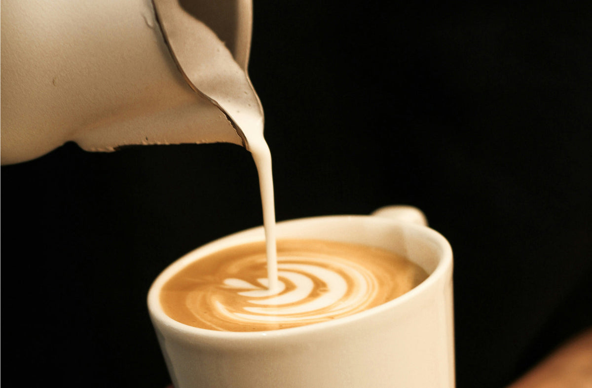 Steamed milk pouring from a pitcher into a latte with rosetta art - Seattle Coffee Gear