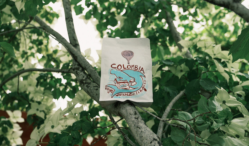 Roast of the Month: Brandywine's Colombia El Progreso - Seattle Coffee Gear