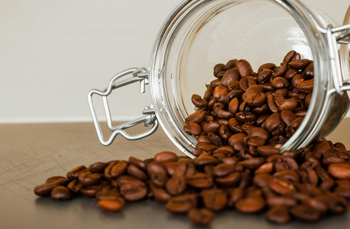 Roasted coffee beans spilling from an airtight glass storage canister - Seattle Coffee Gear