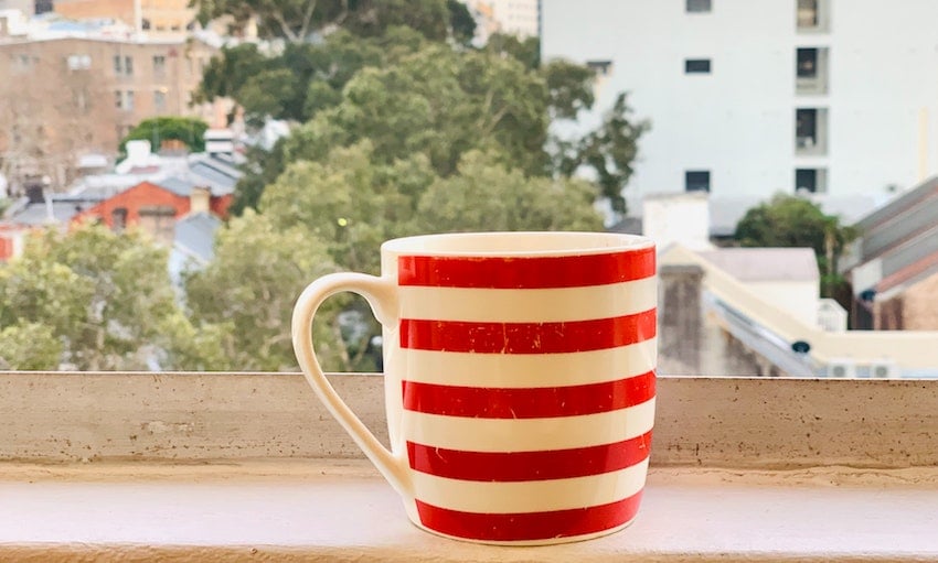 Crew Comparison: Bonavita 8-Cup Coffee Maker vs OXO Barista Brain 9-Cup