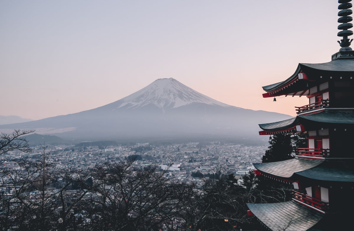 Coffee History: Japan - Seattle Coffee Gear