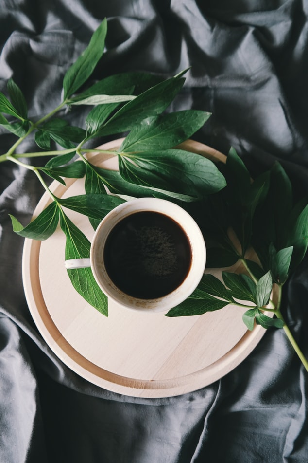 What Is Coffee Rust? - Seattle Coffee Gear