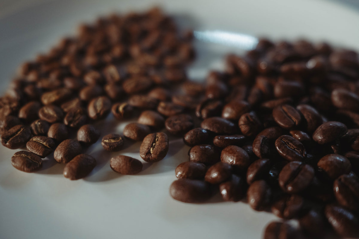 December YouTube Recap - Seattle Coffee Gear